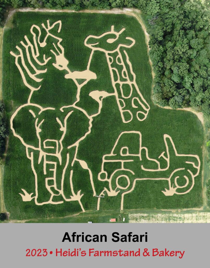 African Safari Corn Maze